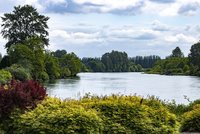 Lac entourée de verdure