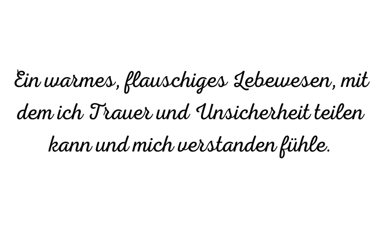 "Ein warmes, flauschiges Lebewesen, mit dem ich Trauer und Unsicherheit teilen kann und mich verstanden fühle."